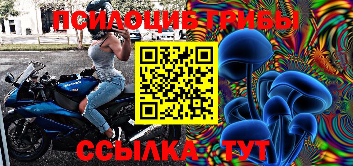 Псилоцибиновые грибы Psilocybine cubensis  Вход с VPN  Псилоцибиновые грибы ЛСД  Петропавловск-Камчатский 