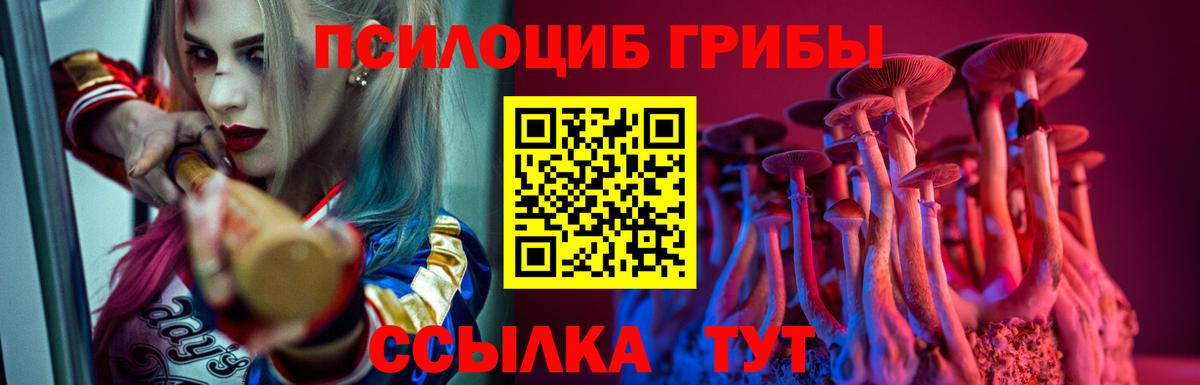 Псилоцибиновые грибы мицелий Петропавловск-Камчатский